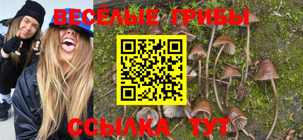Псилоцибиновые грибы GOLDEN TEACHER  Псилоцибиновые грибы Magic Shrooms  купить   Вход с VPN  Топки 