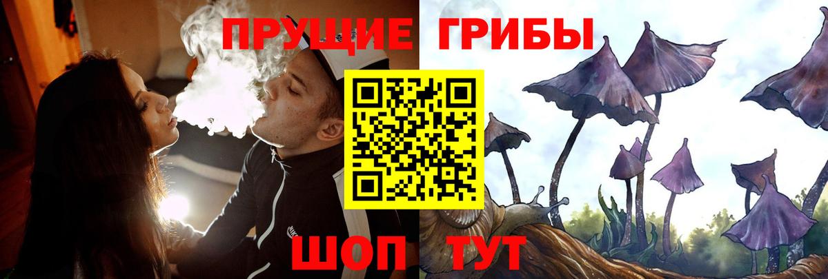 Галлюциногенные грибы Magic Shrooms Топки